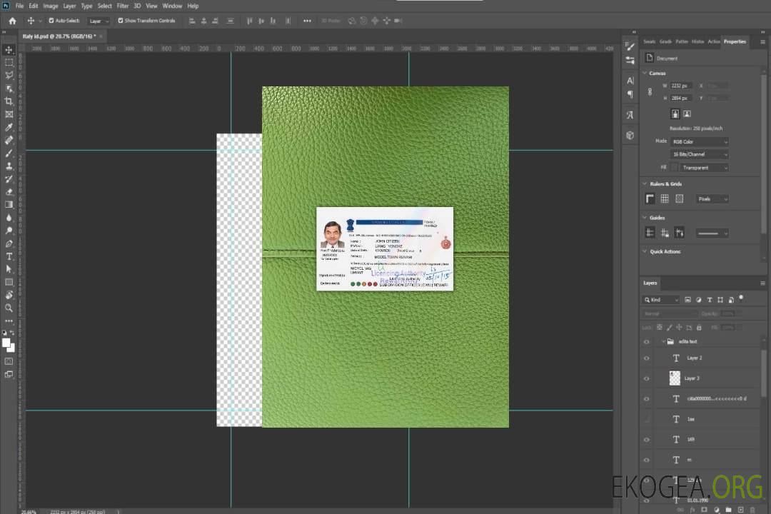 Permis de conduire indien version 5 photolook AVANT template